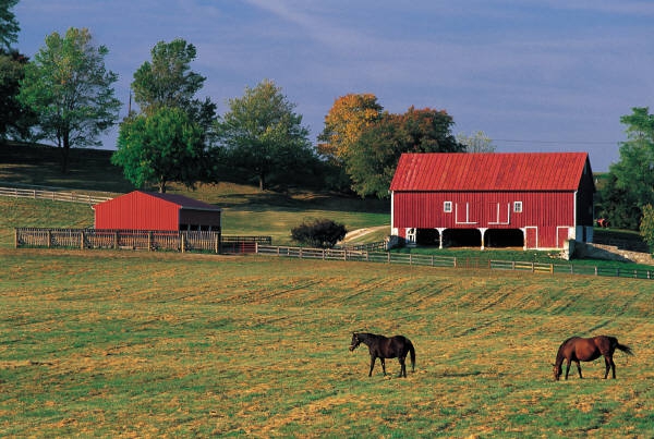 Red barn with 2 horses grazing in field